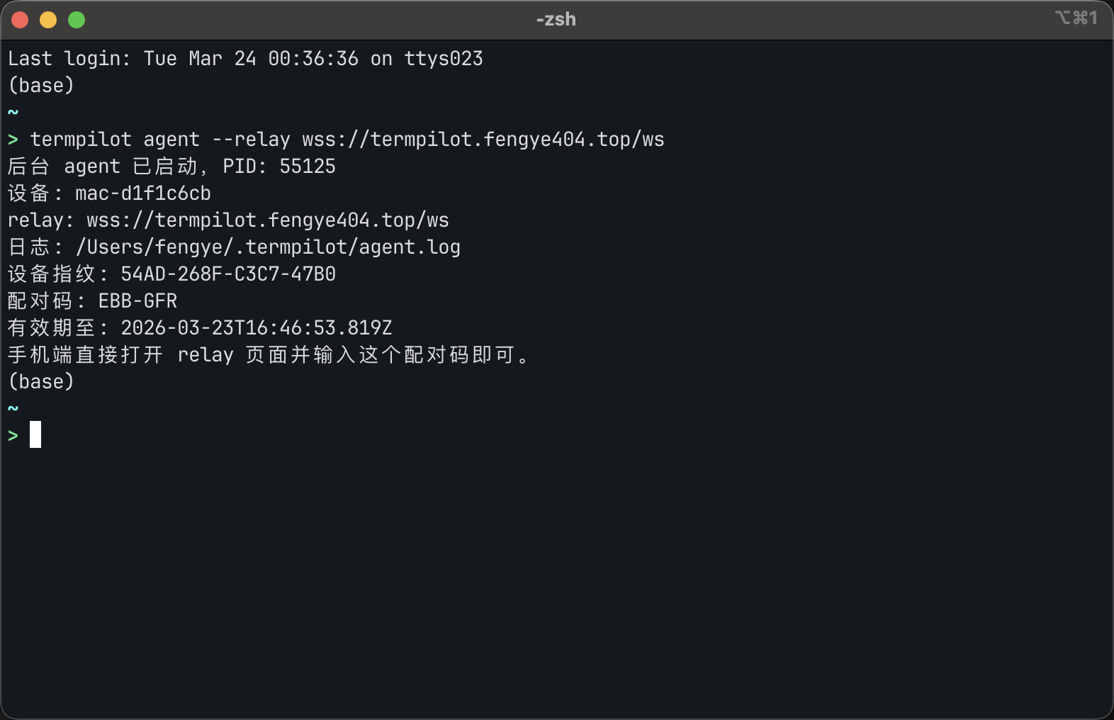 agent 启动与配对码截图