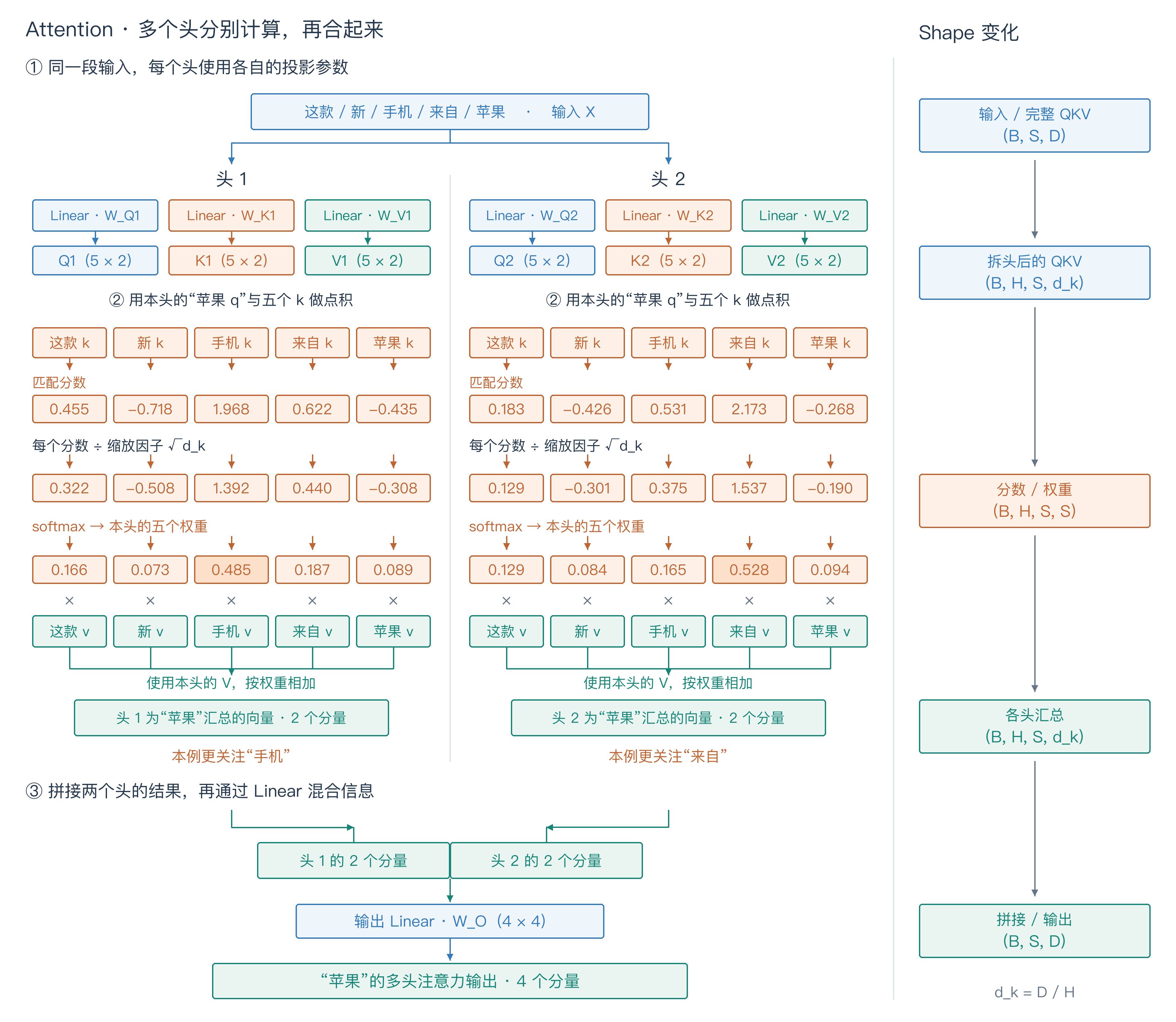 Attention · 多个头分别计算，再合起来