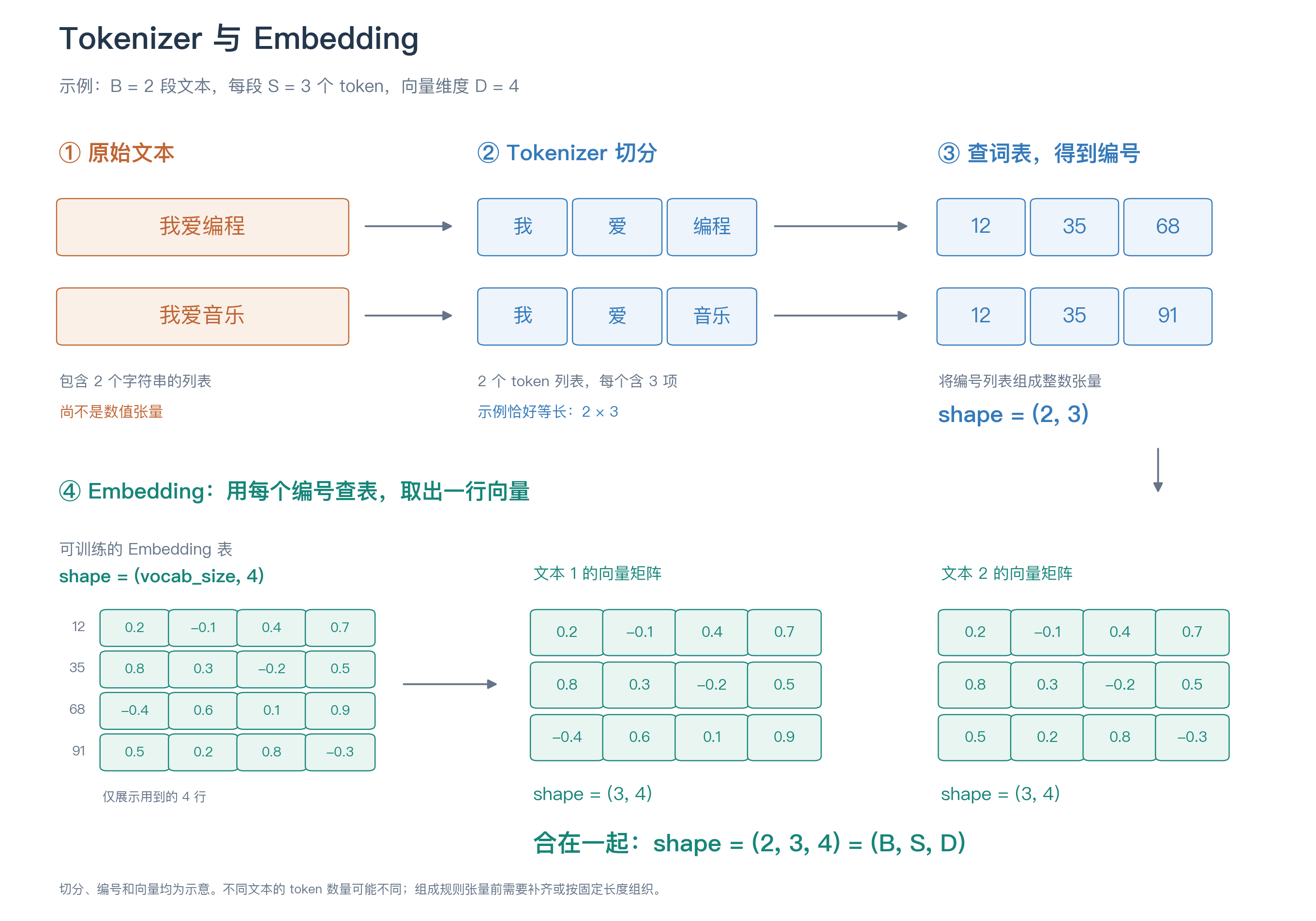 原始文本经过 Tokenizer 和 Embedding 的完整形状变化